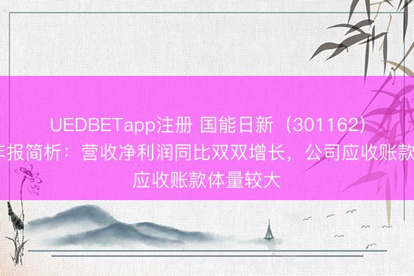 UEDBETapp注册 国能日新（301162）2025年年报简析：营收净利润同比双双增长，公司应收账款体量较大